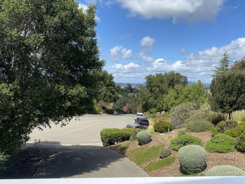 View from family room deck