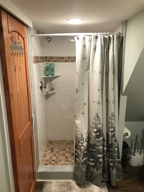 Shower, hair dryer, towels, toilet paper