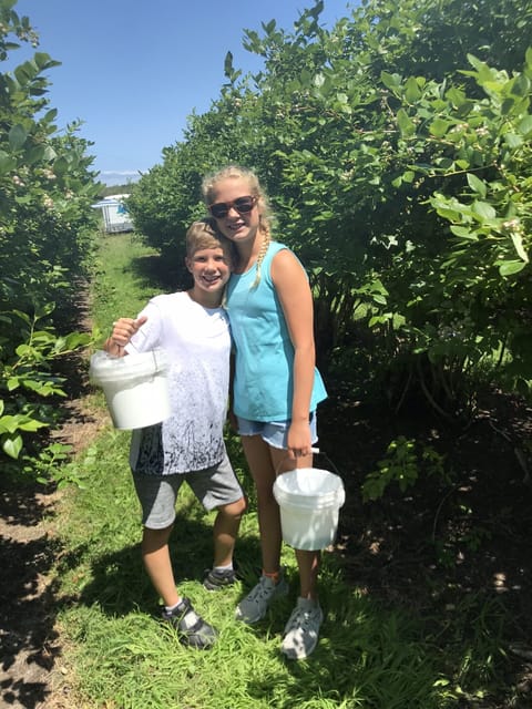 Blueberry (and other fruti) picking!