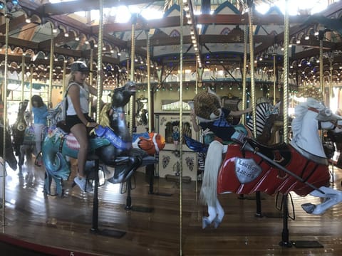 Silver Beach Carousel in St. Joe - a kiddo favorite! 