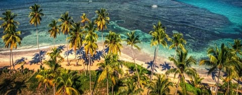 On the beach, sun loungers, beach towels