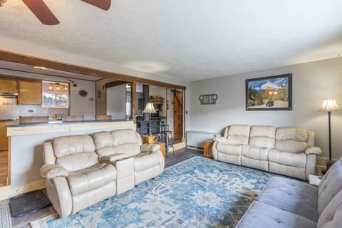 Main Living Space with electric fireplace