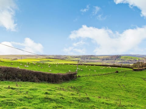 View | The Threshing Barn - Oldiscleave Farm Cottages, Bideford