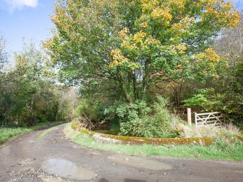 Surrounding area | The Woodshed, Buckland Filleigh near Bideford