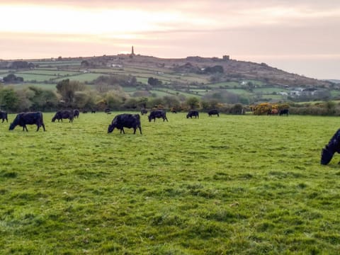 Surrounding area | Elderberry Cottage, Carnkie, near Carn Brea Redruth