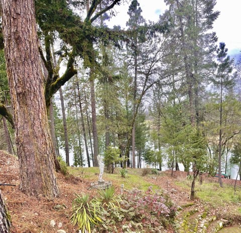 View from primary bedroom