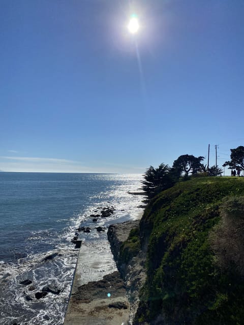 Take a walk to Mitchell's Cove Beach down the street.