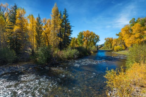 Welcome to our Riverside Haven.  Enjoy the view of the river as you relax and enjoy our outdoor deck.