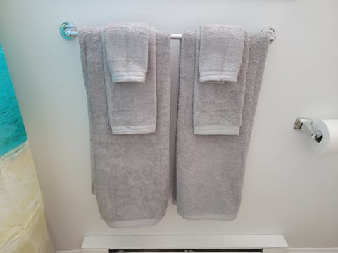 Combined shower/tub, hair dryer, towels, soap