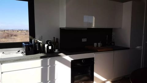 Fridge, oven, dishwasher, coffee/tea maker