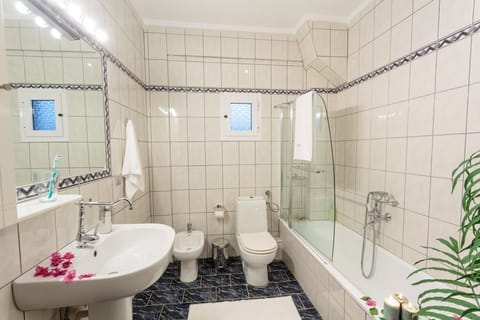 Combined shower/tub, bidet