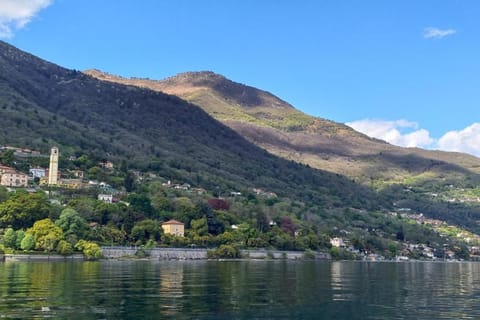 Region [summer] (>5 km)