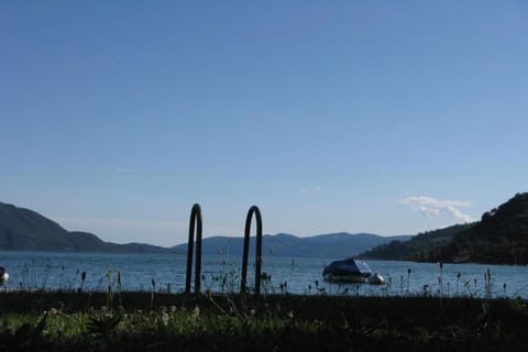 Region [summer] (&gt;5 km)