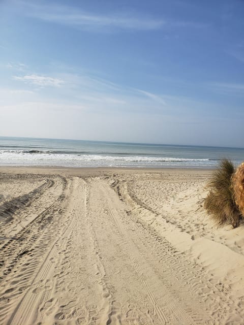 On the beach