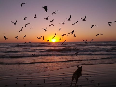 On the beach