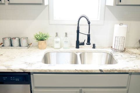 Pull down kitchen faucet and dishwasher.