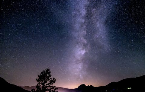 Breathtaking Milky Way & Stargazing from back yard 🌟 EPIC for meteor showers.