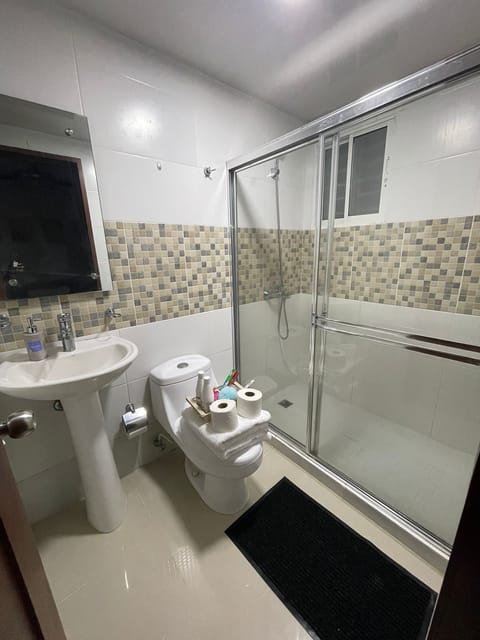 Combined shower/tub, bidet