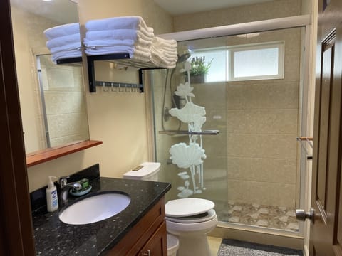 Combined shower/tub, hair dryer, towels, soap