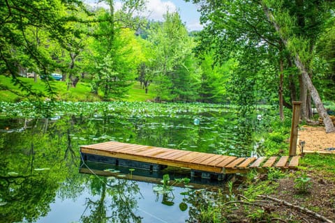 Not only is Turtle Creek fun, but it's a fantastic backdrop for holiday photos you'll enjoy for years to come!