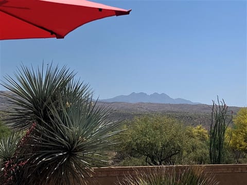 The best view of Four Peaks ever! 