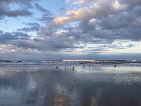 On the beach, sun loungers, beach towels