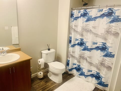 Combined shower/tub, towels, toilet paper