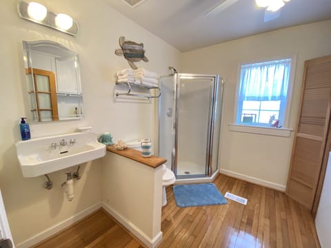 Bathtub, jetted tub, hair dryer, towels