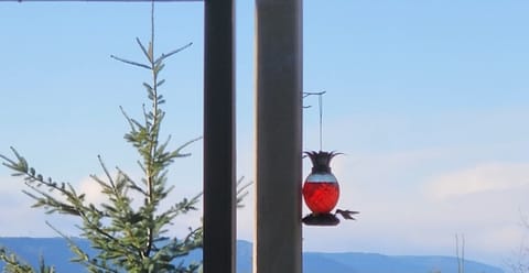 Watching the hummingbirds is one of guests favorite things to do at the house.