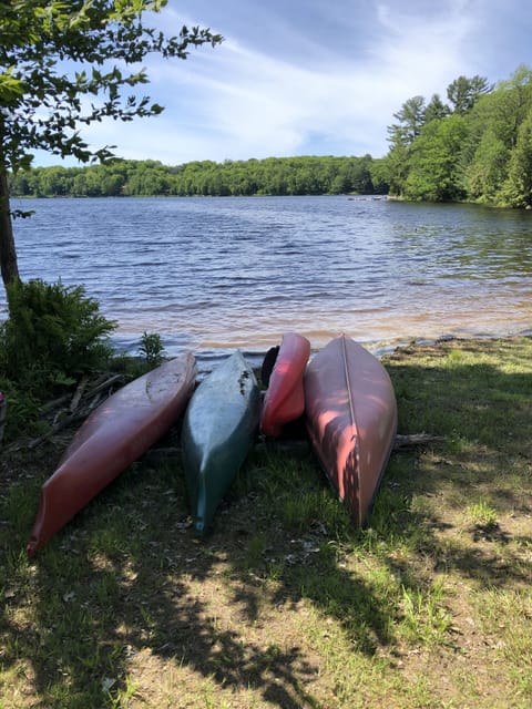 Beach nearby, sun loungers, beach towels