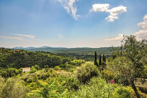 Region [summer] (&gt;5 km)