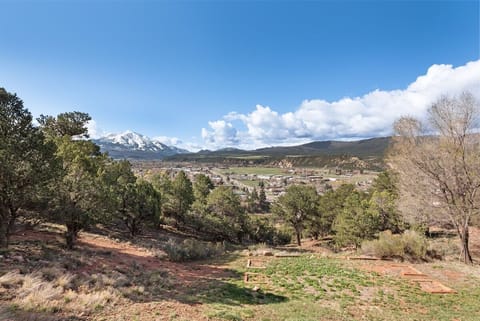 Views of Carbondale from one of your two decks