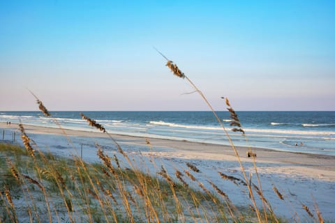 On the beach