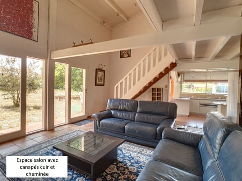 TV, fireplace, books, music library