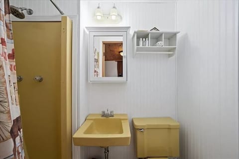 Combined shower/tub