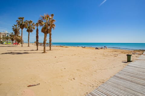 On the beach