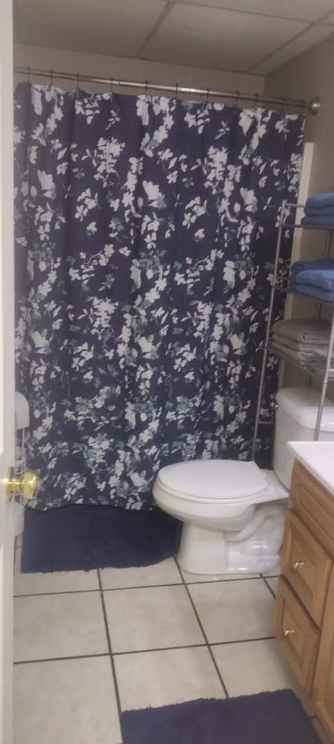 Combined shower/tub, towels, soap, toilet paper