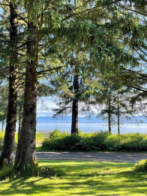 ocean view past driveway in park area