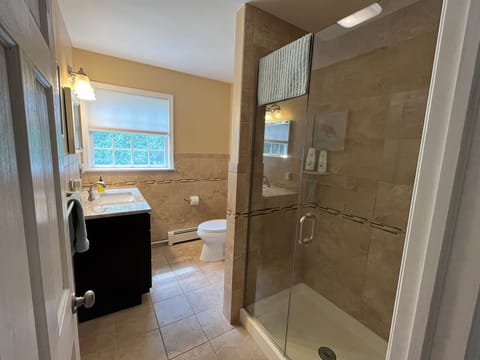 Combined shower/tub, hair dryer, towels, soap