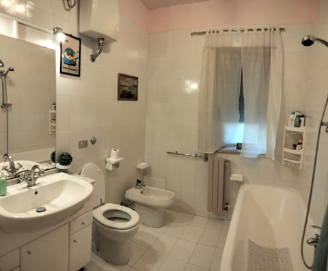 Combined shower/tub, hair dryer, bidet, towels