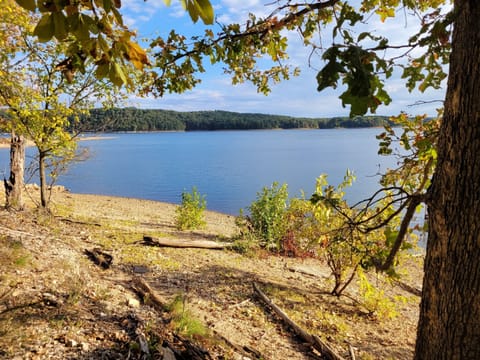 That shoreline is always beautiful.  Our home is conveniently located 1 block from the semi-private boat launch and just off the main body of Beaver Lake.