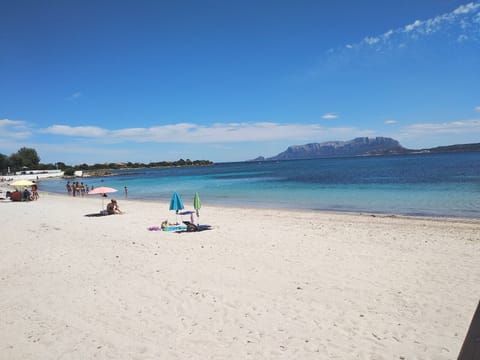 Beach nearby, sun loungers