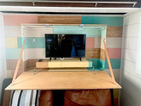 TV inside hidden shelf agains north wall