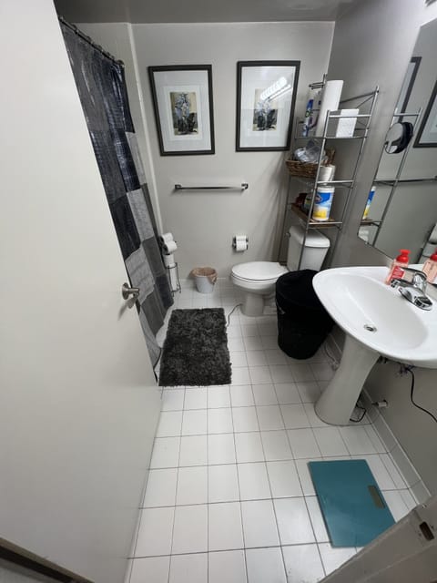 Combined shower/tub, jetted tub, hair dryer, bidet