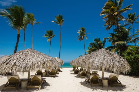 Sun loungers, beach towels