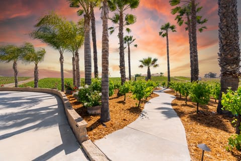 A large area, centrally located, that could be perfect for ceremonies