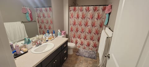 Combined shower/tub, hair dryer, towels, soap