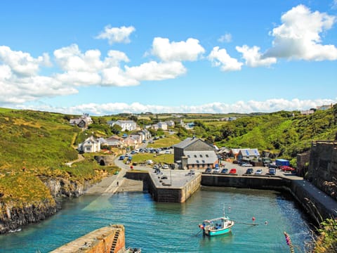 Outdoor area | Llys Isaf, St Nicholas