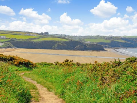 Beach | Druidston Old Farmhouse, Druidston Haven