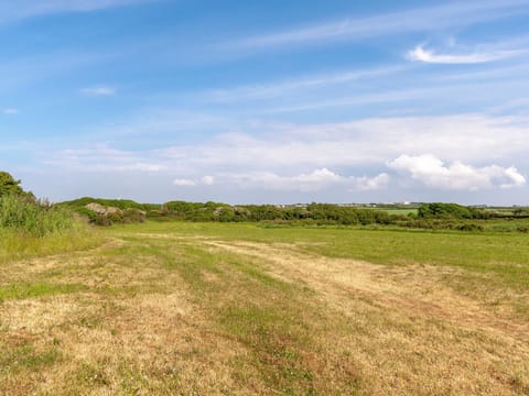 Outdoor area | Ffynnonddewi Farmhouse - Farm House Cottages, Solva, near St Davids
